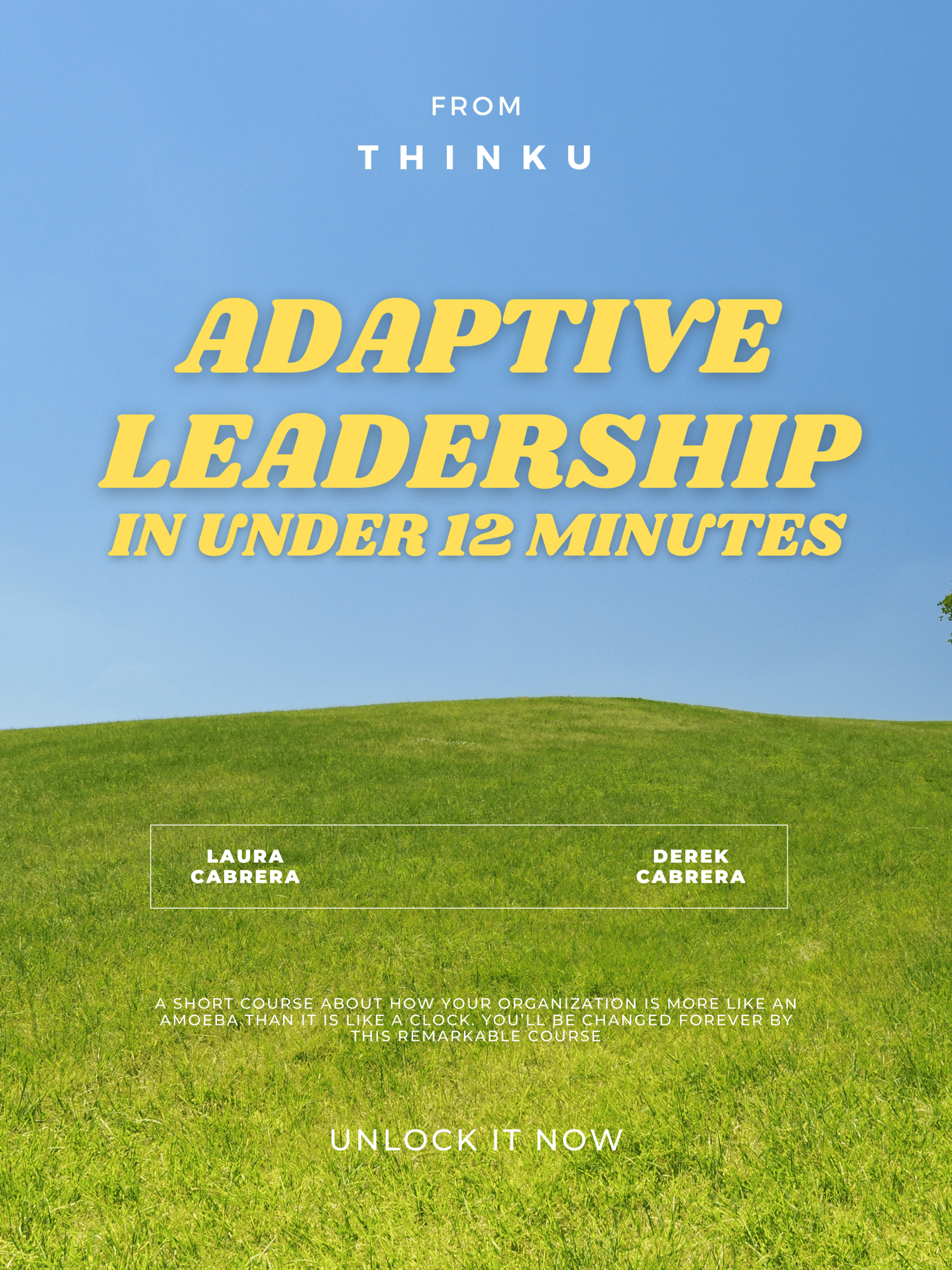 Adaptive Leadership  in _12