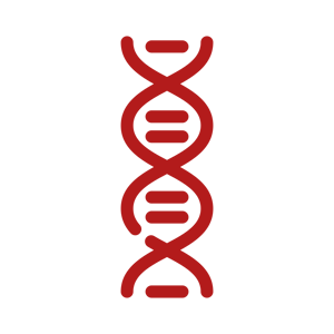 noun-dna-1007701-B31B1B